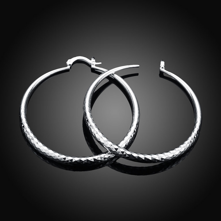 Silver Earrings
